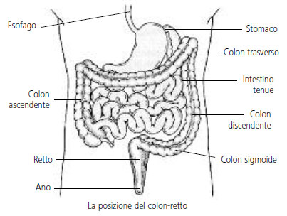 colon-retto
