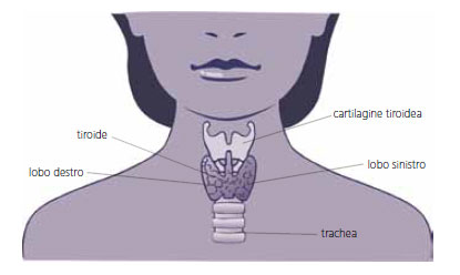 tiroide