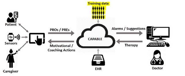 capable ob spec