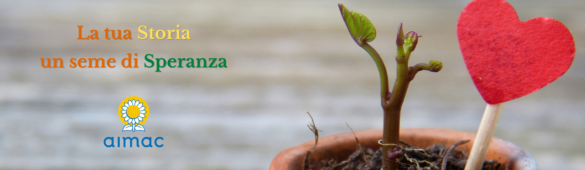 condividi storia banner